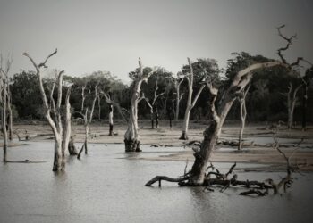 Überschwemmungen in Zentralnigeria: Mehr als 150 Tote und Tausende obdachlos