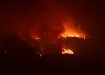 Schwere Waldbrände in Griechenland und Türkei: Kritik an Regierungspolitik
