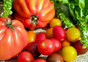 Lebensmittelpreise steigen, Ernährungsarmut nimmt zu