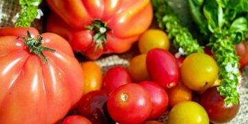 Lebensmittelpreise steigen, Ernährungsarmut nimmt zu