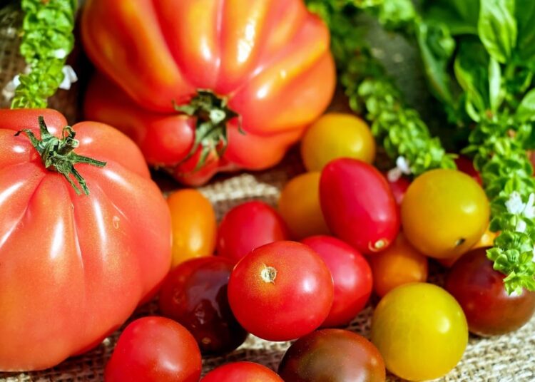 Lebensmittelpreise steigen, Ernährungsarmut nimmt zu