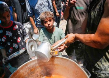 Spanien holt 44 Kinder aus Gaza – und Österreich?