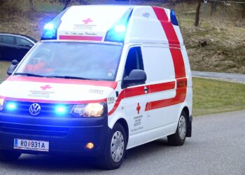 Wien-Floridsdorf: Neunjähriger nach Badeunfall an der Neuen Donau verstorben