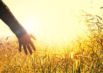 Das Wagnis zu träumen