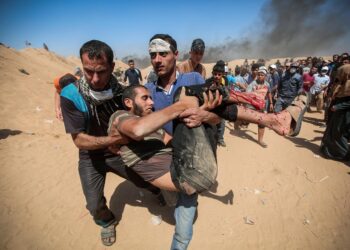Israels Vernichtungsfeldzug in Gaza: Hungersnot, Massaker und weltweite Proteste