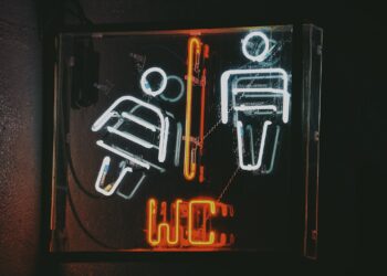 Wiens WC-Maut trifft vor allem Frauen