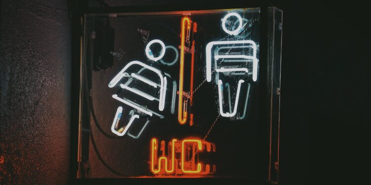 Wiens WC-Maut trifft vor allem Frauen