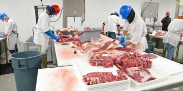 Fleischindustrie will Beschäftigten nicht einmal die Inflation ausgleichen