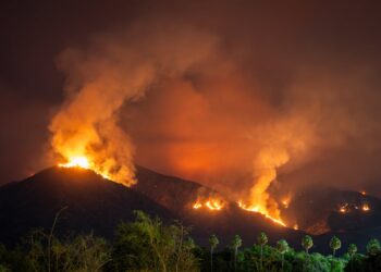 Südeuropa: Waldbrände in Spanien eskalieren – leichte Entspannung in Griechenland
