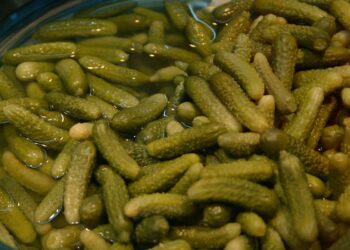 Der große Essiggurkerl-Test