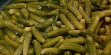 Der große Essiggurkerl-Test