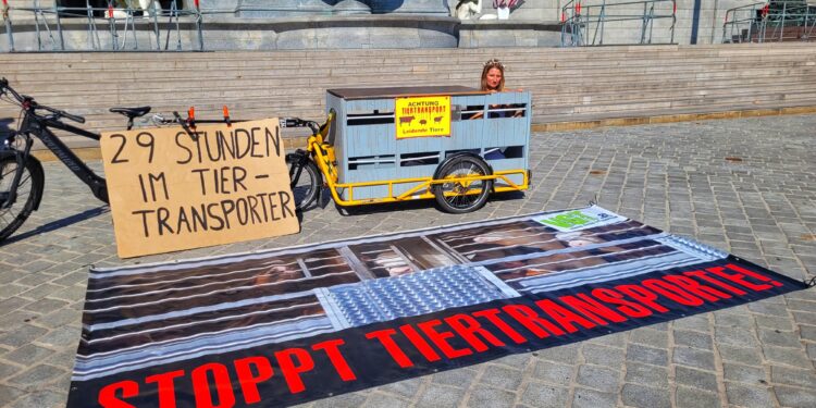 Forderung nach einer neuen EU-Tiertransportverordnung