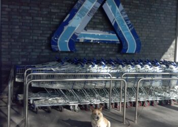 Starke Preiserhöhungen bei Lebensmitteln