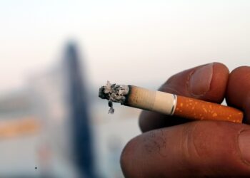 Hohe Strafen, fragwürdige Methoden: Transporterfirma 123 in der Kritik