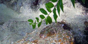 Trinkwasser in Neunkirchen verunreinigt – Abkochen empfohlen