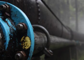 Machtspiele am Hudson: Erdoğan, Trump und die Neuordnung im östlichen Mittelmeer