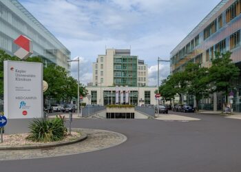 Tragödie mit System – wenn Profit über Leben steht und das Gesundheitssystem versagt