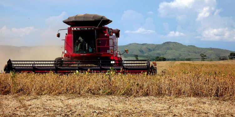 US-Farmer bleiben auf Sojaernte sitzen