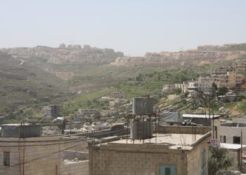 Brutale Gewalt bei Olivenernte: Israelische Siedler greifen palästinensische Bauern in der Westbank an