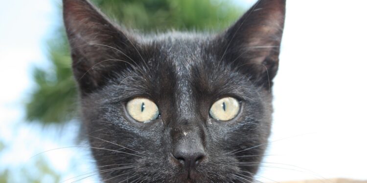 Wenn „Kommunisten“ Reallohnverluste als „fair“ bezeichnen