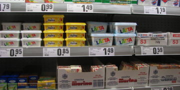 Armut in Österreich: Während der Reichtum wächst, hungern die Menschen