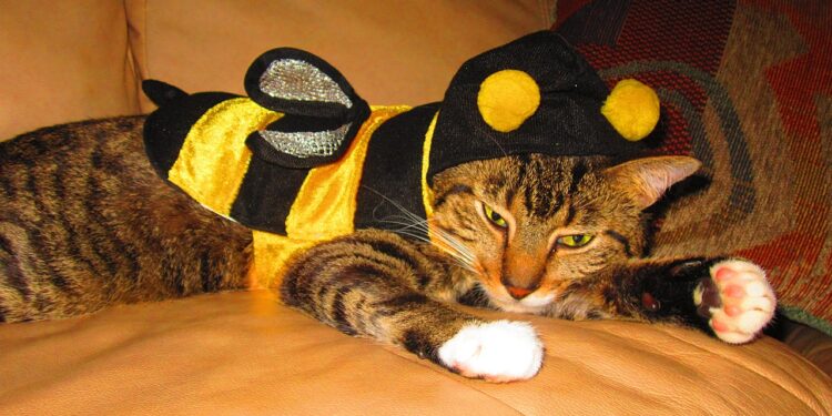 Kurt Tucholsky: Berliner Fasching