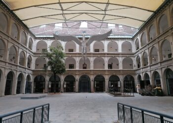 Unruhe in der Spanischen Hofreitschule: Vorwürfe der Tierquälerei