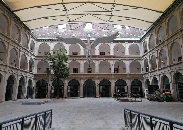 Unruhe in der Spanischen Hofreitschule: Vorwürfe der Tierquälerei