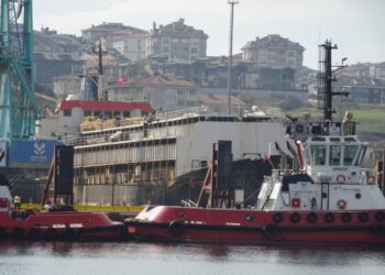 Weltweiter Skandal um Rinderschiff vor Türkei – Spur führt zu Exportfirma in Österreich