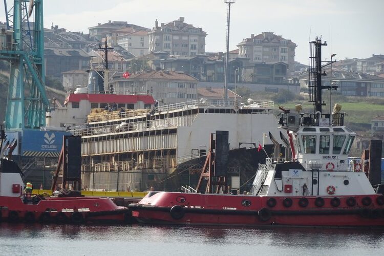 Weltweiter Skandal um Rinderschiff vor Türkei – Spur führt zu Exportfirma in Österreich