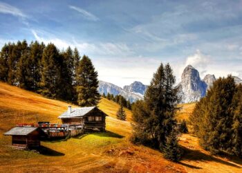 Almhüttenkontrolle in Tirol und Vorarlberg: Jeder fünfte Beschäftigte nicht richtig angemeldet
