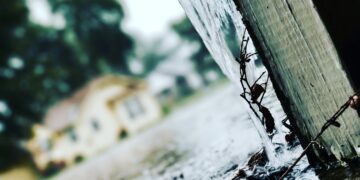 Selektive Mobilisierung: KKE prangert staatliches Versagen in Epirus an