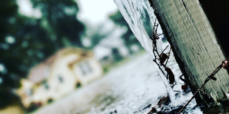 Selektive Mobilisierung: KKE prangert staatliches Versagen in Epirus an