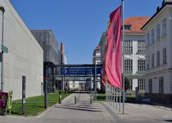 Donau-Uni Krems: Wenn trotz steigendem Budget gekürzt wird