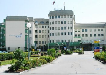 Landesklinikum Horn in der Kritik