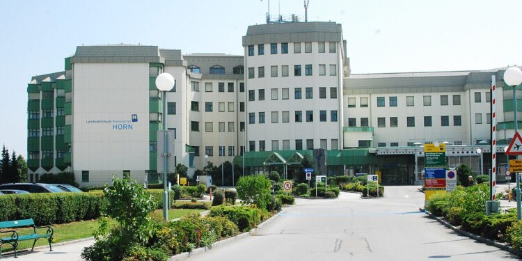 Landesklinikum Horn in der Kritik
