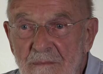 Über die generationsübergreifende Nähe von Hermann Klenner zu Österreich