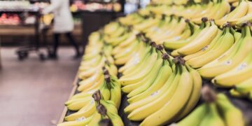 Ernährungsunsicherheit in Österreich verschärft sich