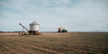 Mercosur-Deal vorerst gescheitert – ein Sieg für Umwelt, Arbeiterinnen und Arbeiter und indigene Völker!