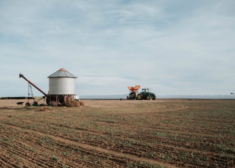 Mercosur-Deal vorerst gescheitert – ein Sieg für Umwelt, Arbeiterinnen und Arbeiter und indigene Völker!