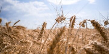 Streit um die Kriegsbeute im euro-atlantischen Block