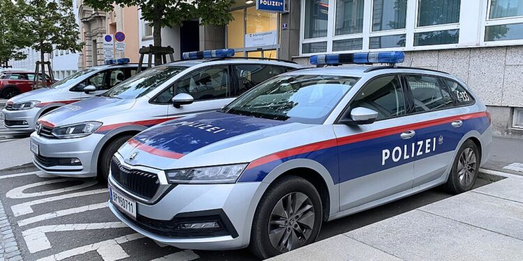 Vermisste Südsteirerin: Cobra-Beamter festgenommen