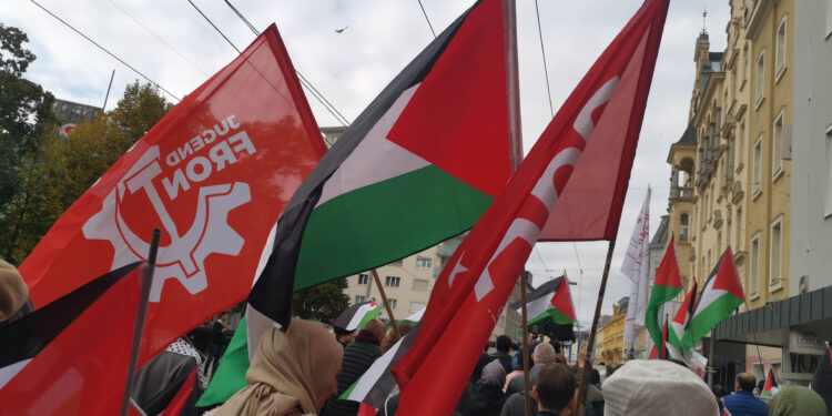 Proteste in Linz: Freiheit für Mustafa!