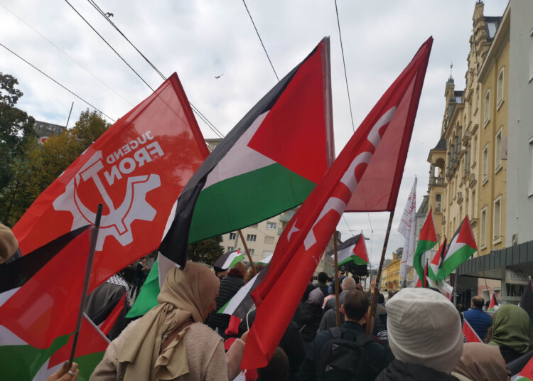 Proteste in Linz: Freiheit für Mustafa!