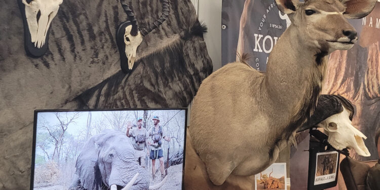 Jagdmesse Salzburg: illegale Tellereisenfallen und Abschüsse von Bären verkauft
