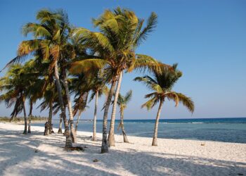 Kubas Marine verhindert Infiltration bewaffneter Terroristen