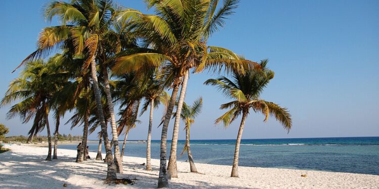 Kubas Marine verhindert Infiltration bewaffneter Terroristen