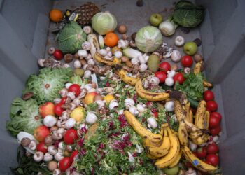 Faules Gemüse für die Front und eine Villa auf&nbsp;Bali