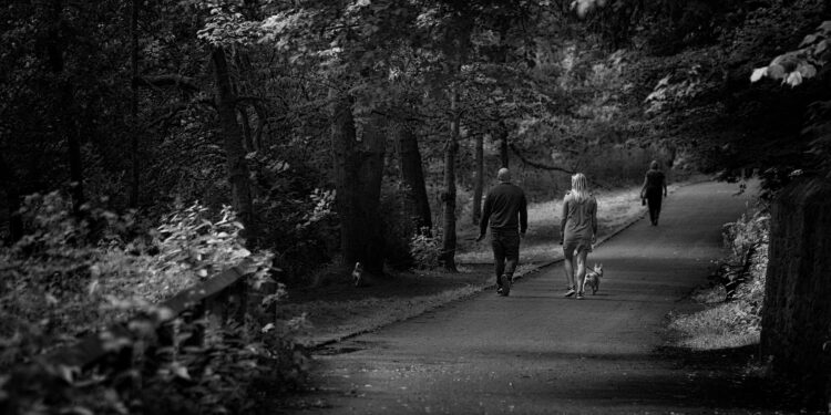 Warum schon Gehen das Leben verlängert