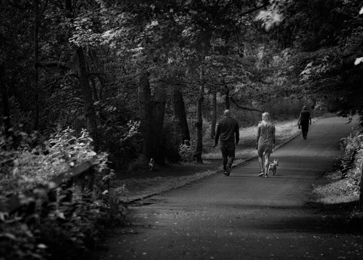 Warum schon Gehen das Leben verlängert